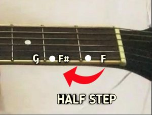 Major Scales In Guitar